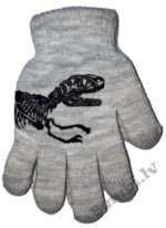 Silti pirkstaiņi Dinozaurs Rak