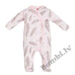 Rāpulis ar pēdiņām Makoma