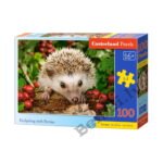 Castorland Puzzle Ezis 100 gab