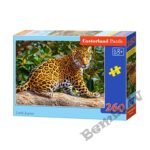 Castorland puzle Mazais Jaguārs 260 gb