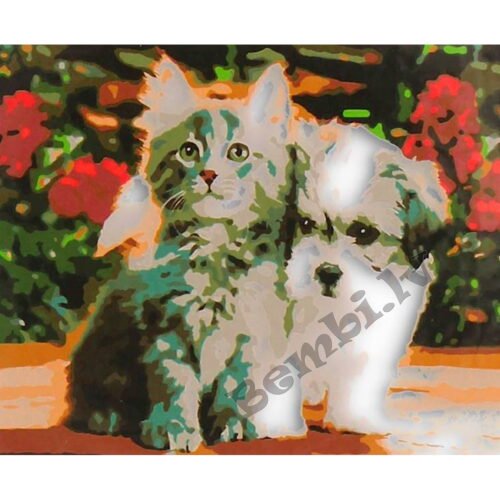 Glezna pēc numuriem Kaķēns un kucēns 40 x 50 cm