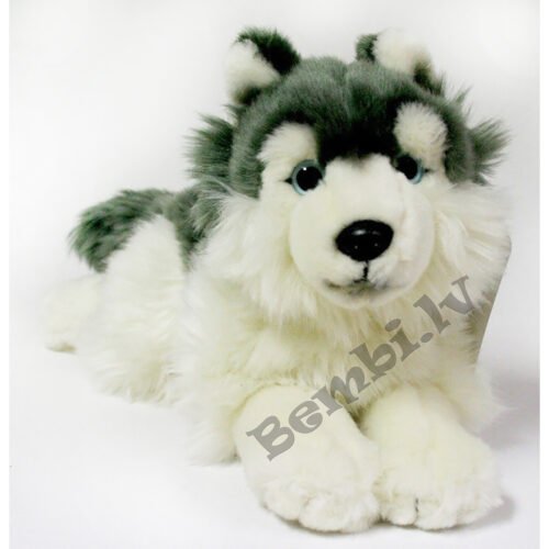 Uni toys mīkstā rotaļlieta Husky suns 35 cm - Image 2