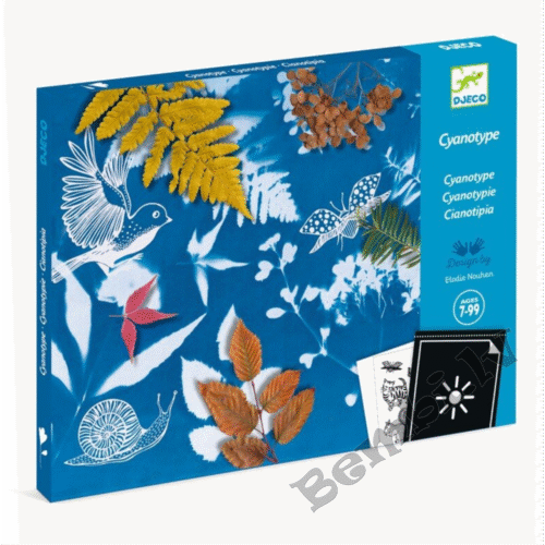 DJECO Cianotipija - Sākuma komplekts DJ09339