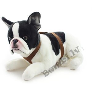 Uni toys mīkstā rotaļlieta Franču buldogs, 50 cm