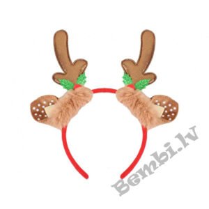 Brieža ragi Ziemassvētku