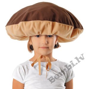 Sēnes cepure/ baravika